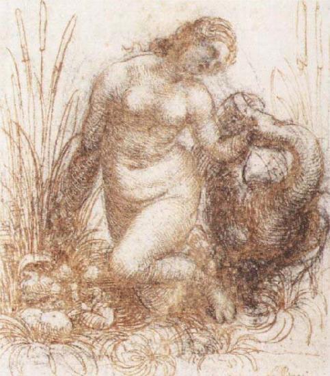 Leonardo  Da Vinci Study for a kneeling Leda oil painting image